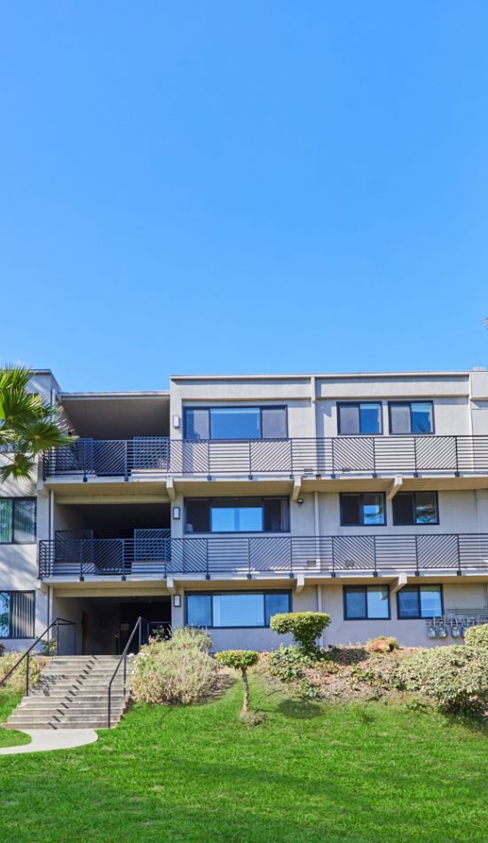 Milo on Morton building exterior next to large front yard with tall palm trees
