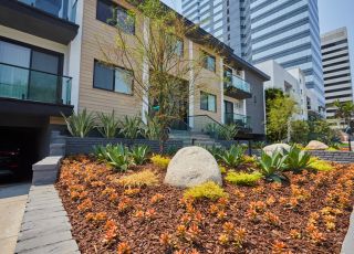 West LA Apartments; Beau on Bundy exterior overlooking a cactus garden