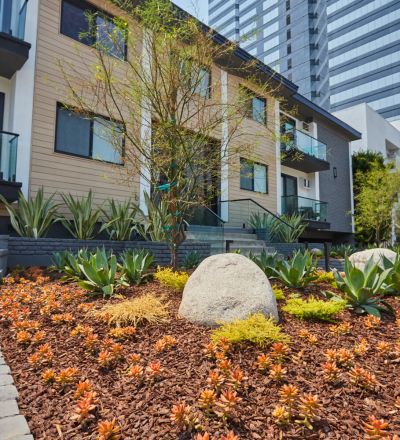 West LA Apartments; Beau on Bundy exterior overlooking a cactus garden