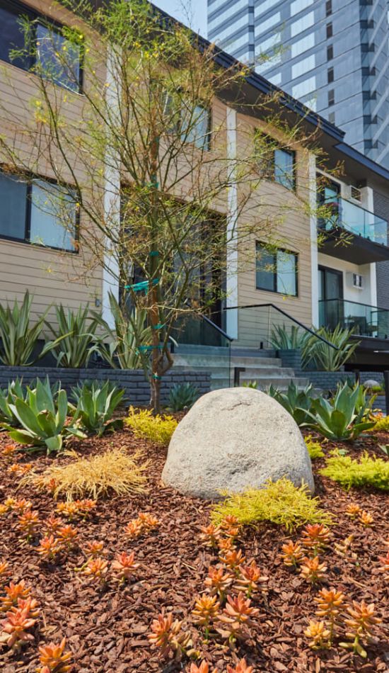West LA Apartments; Beau on Bundy exterior overlooking a cactus garden