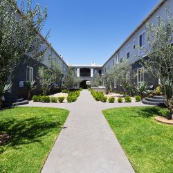 Blu on Burns courtyard with lush green spaces and trees