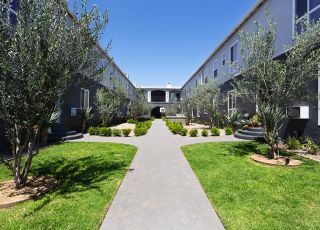 Blu on Burns courtyard with lush green spaces and trees