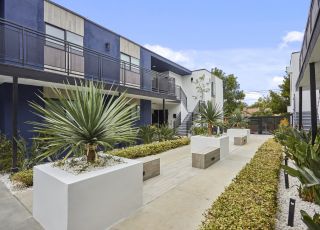 Courtyard area with cement potted plants next to garden beds at Callie on Curson building