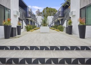 Stairs leading to the apartment courtyard decorated with potted plants on each side and a cement potted plant in the center
