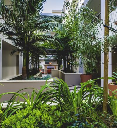 Raised garden beds with lush greenery at Park Encino's courtyard area
