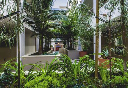 Raised garden beds with lush greenery at Park Encino's courtyard area