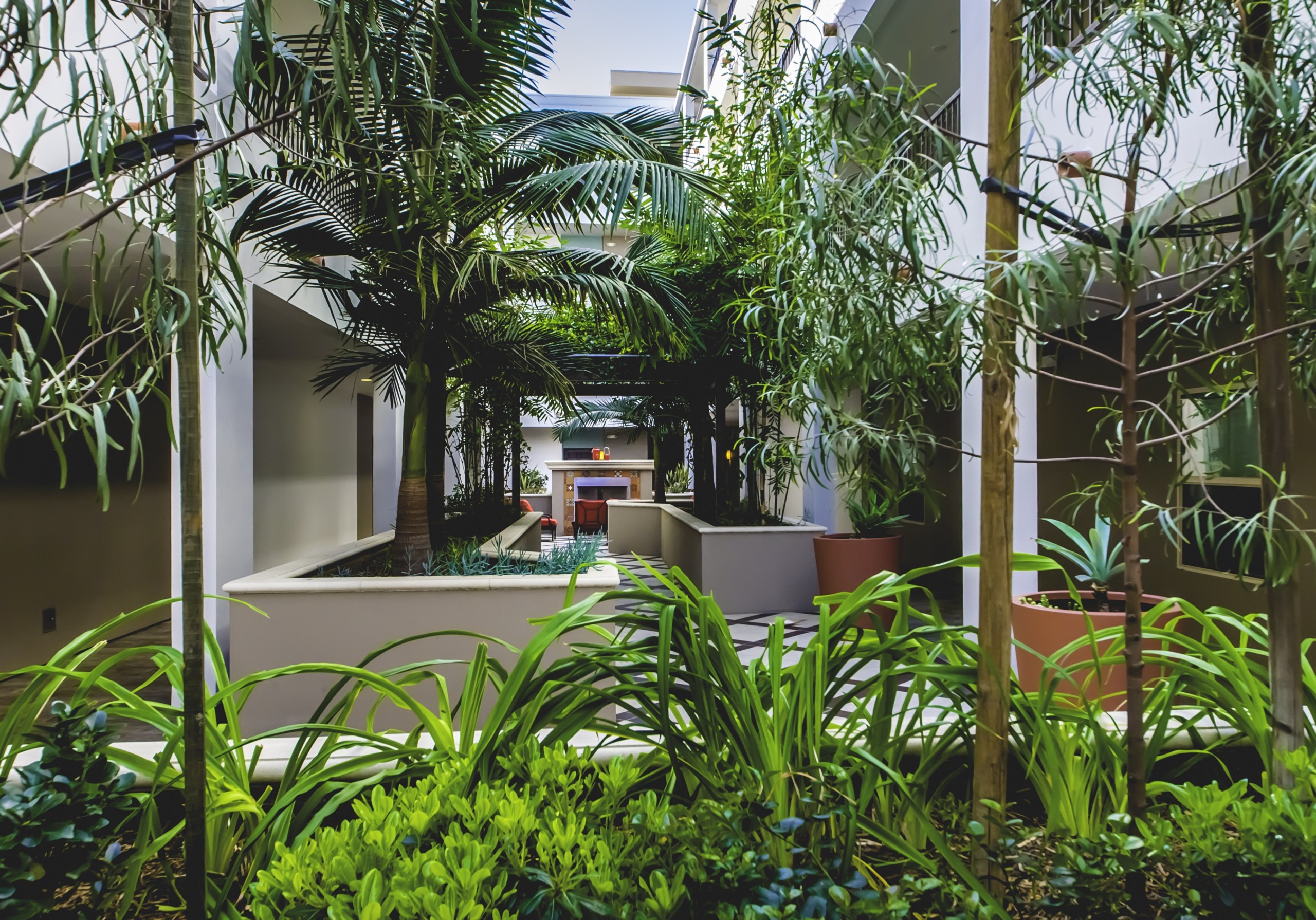Raised garden beds with lush greenery at Park Encino's courtyard area