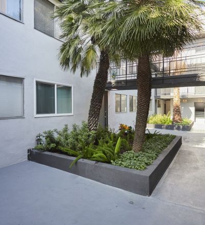 Raised garden bed in the courtyard area next to building with a pathway balcony connecting to the other side