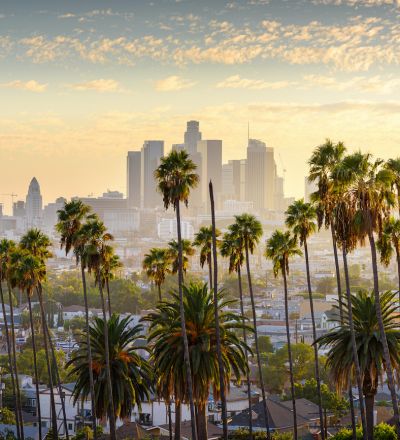Los Angeles skyline with tall palm trees during sunset