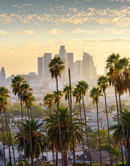 Los Angeles skyline with tall palm trees during sunset