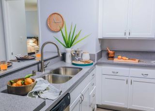 Vive LA Violet on Virgil ;Kitchen countertop with oranges on a wooden bowl and coffee pot on the other side