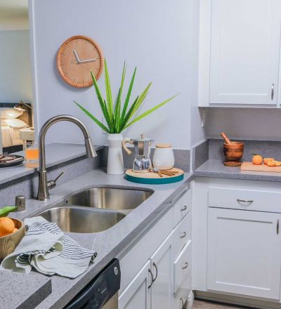 Vive LA Violet on Virgil ;Kitchen countertop with oranges on a wooden bowl and coffee pot on the other side
