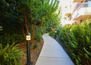Stone pathway between the greenery leading to back of the apartment building