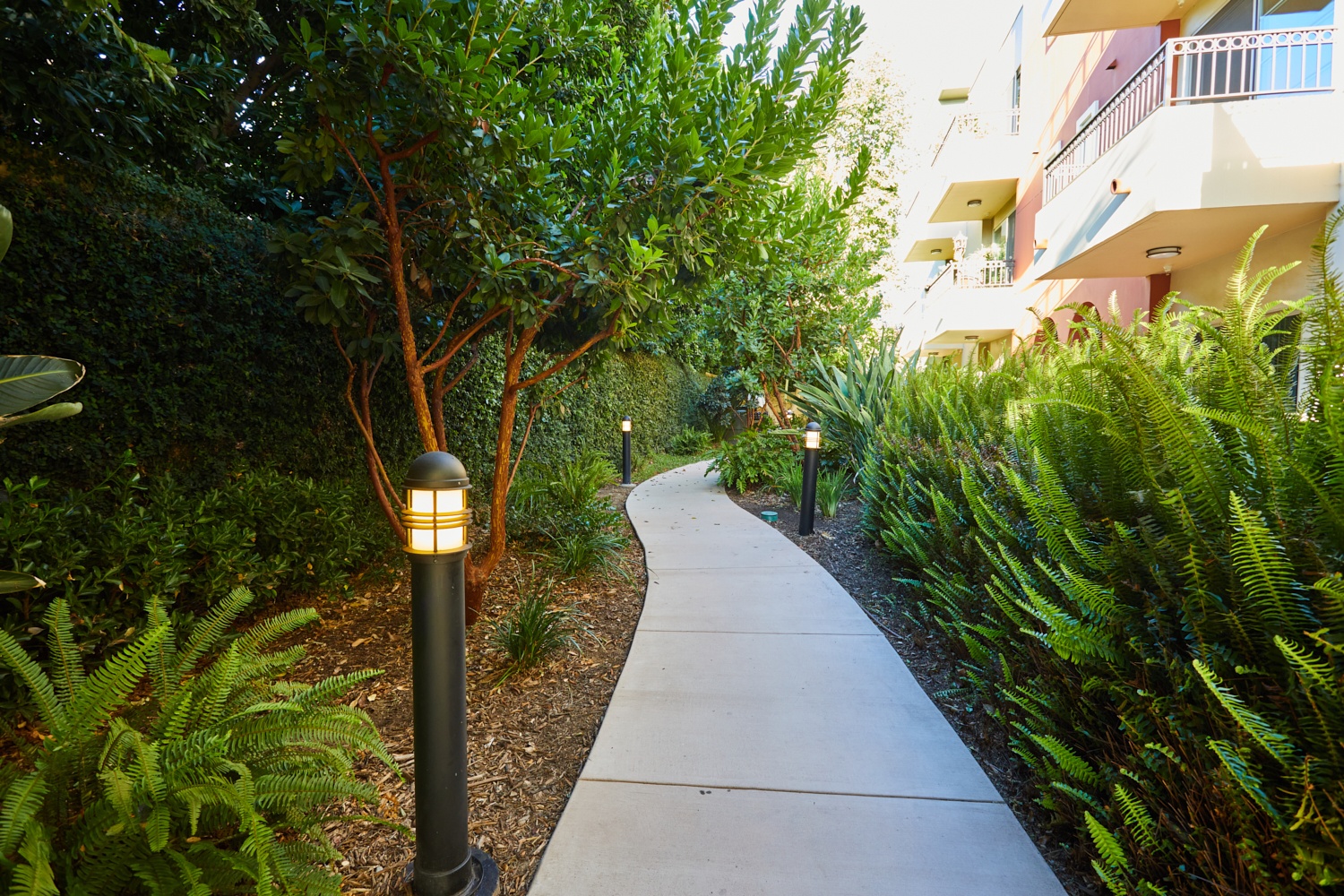 Stone pathway between the greenery leading to back of the apartment building
