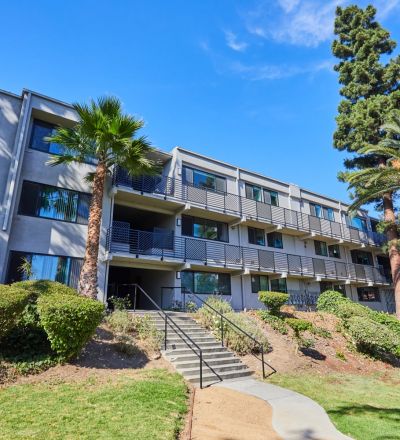 Milo on Morton building exterior next to large front yard with tall palm trees;
