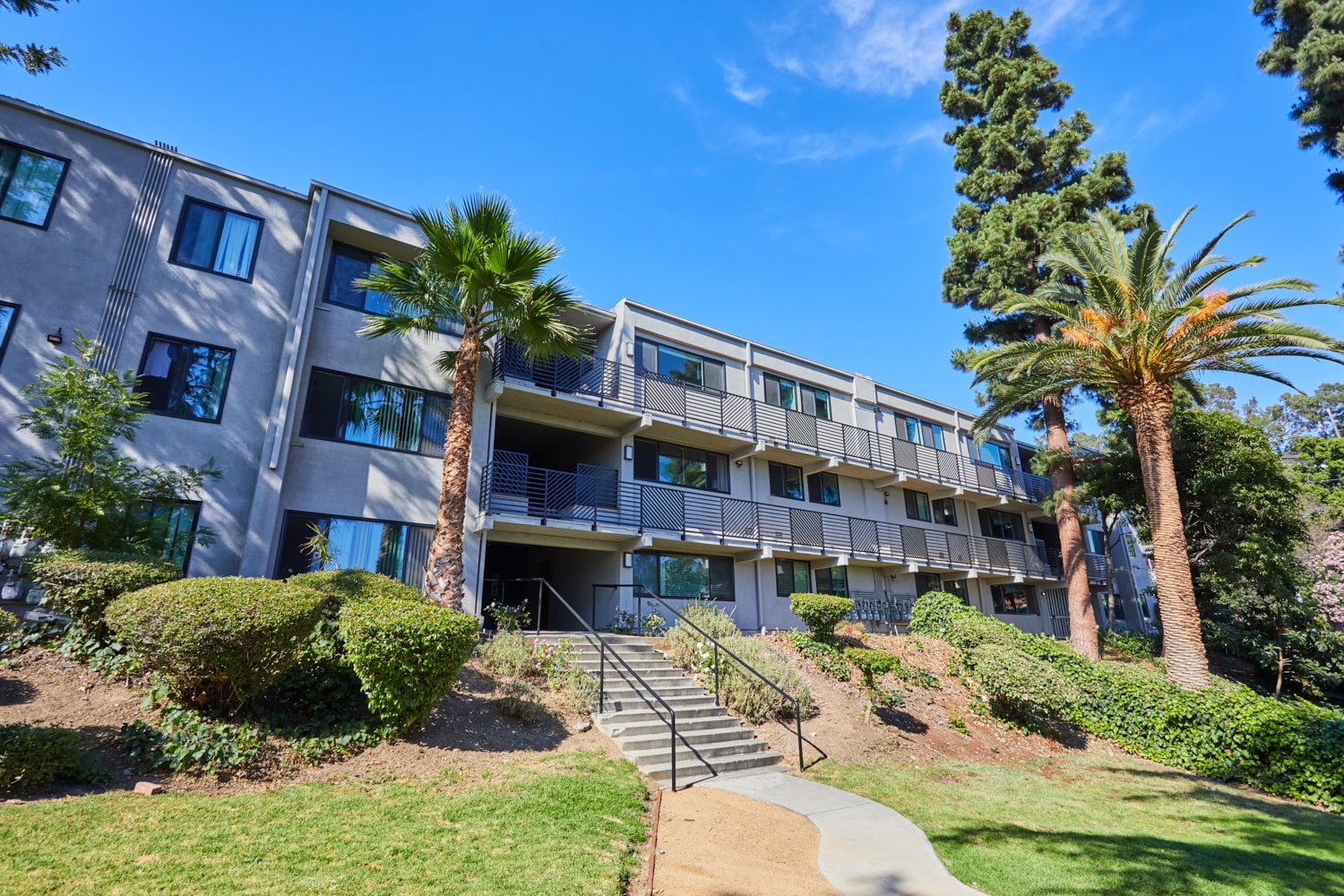 Milo on Morton building exterior next to large front yard with tall palm trees;