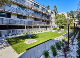 Milo on Morton building exterior next to large front yard with tall palm trees