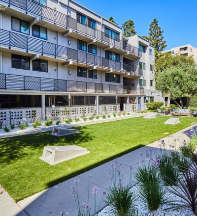 Milo on Morton building exterior next to large front yard with tall palm trees