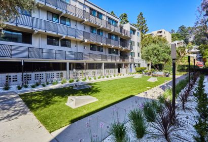 Milo on Morton building exterior next to large front yard with tall palm trees