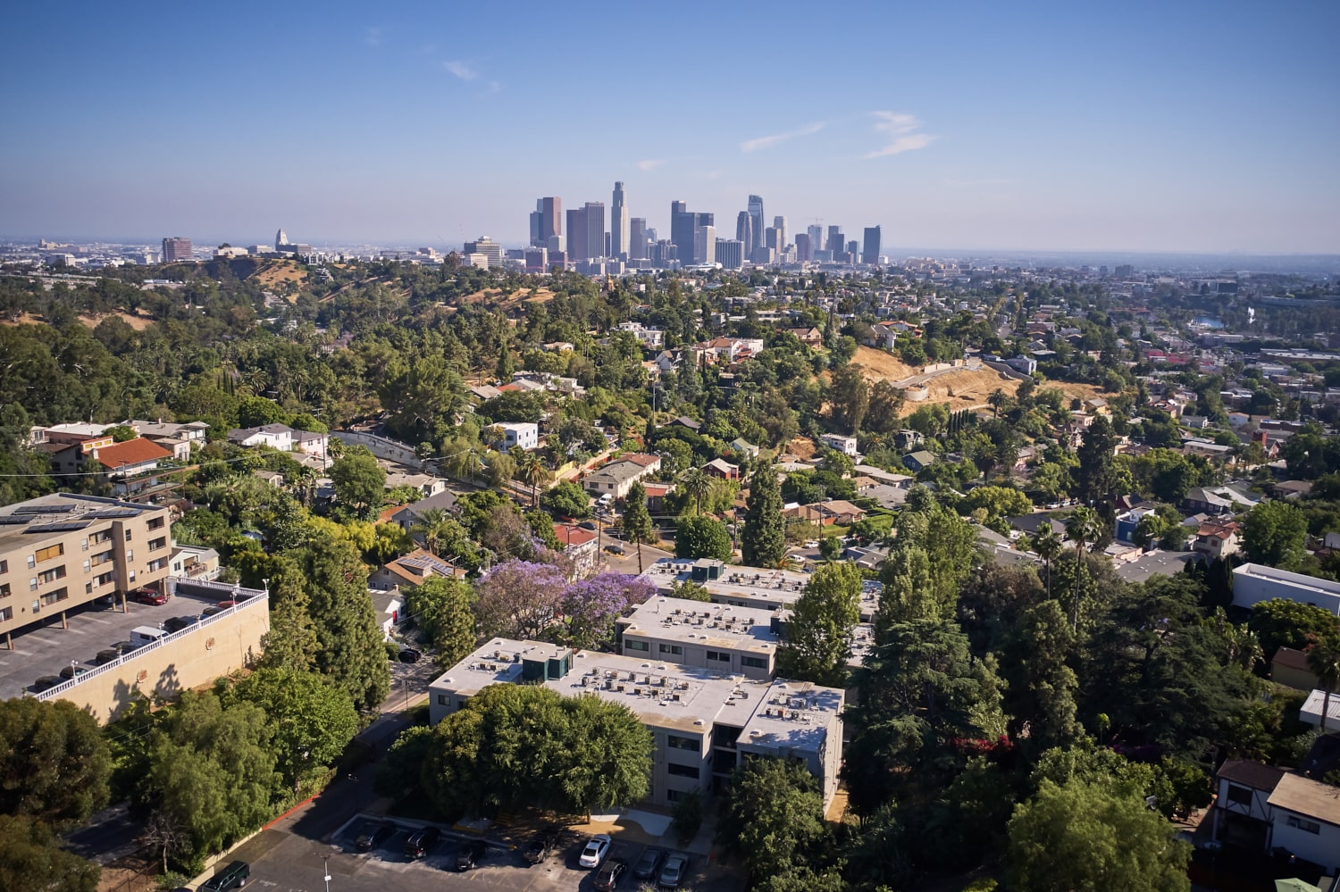 Aerial view of apartment with city skyline in the background; Milo on Morton building