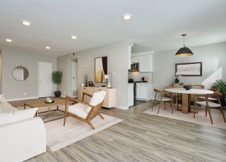 Living room and Kitchen