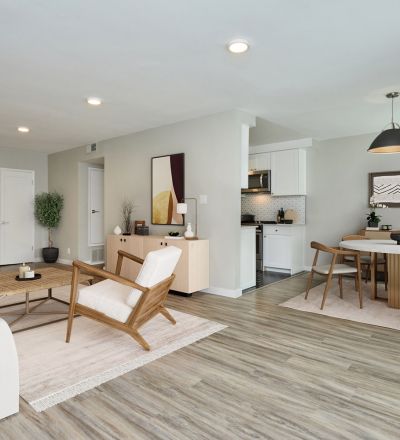 Living room and Kitchen