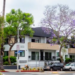 Harper on Hayworth