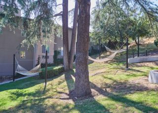 Outdoor hammock area; Milo on Morton building exterior