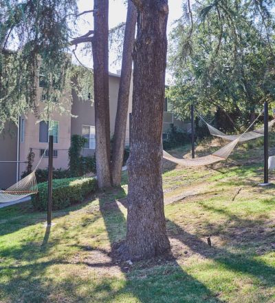 Outdoor hammock area; Milo on Morton building exterior