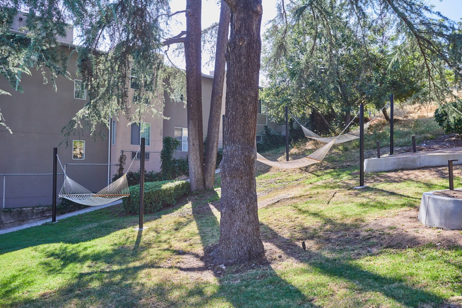 Outdoor hammock area; Milo on Morton building exterior