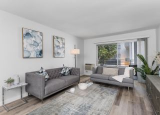 Violet On Virgil Apartments pet friendly rentals Los Angeles; A cozy living room with a comfortable couch, a stylish coffee table, and a large window offering natural light.