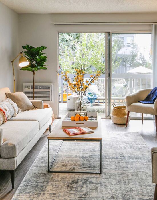 Explore Your Neighborhood near Koreatown at Violet on Virgil