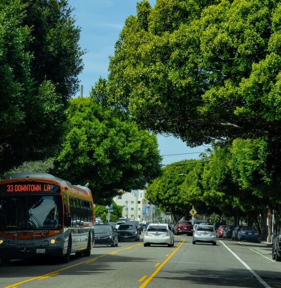 From Los Feliz to Silver Lake: Exploring Hollywood's Neighboring Districts